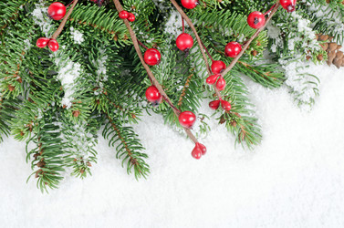 Similar image 973495