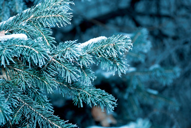 Similar image 973500