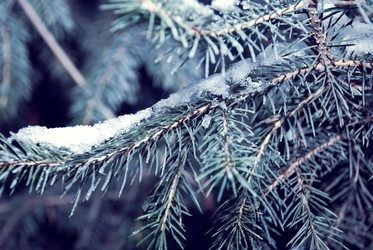 Similar image 973501