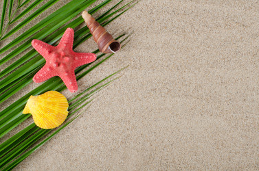 Similar image 973521