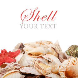 Similar image 973529