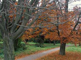 Similar image 973588