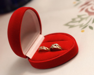 Similar image 973596