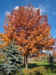 Similar image 973599