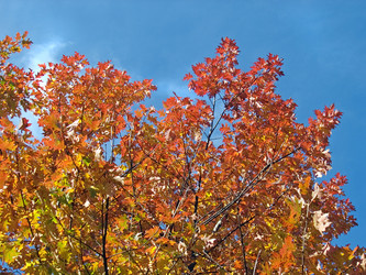 Similar image 973607