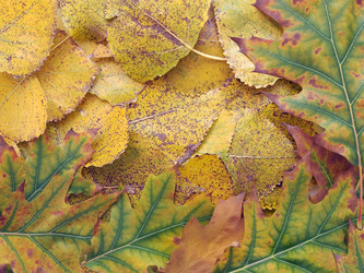 Similar image 973616