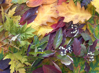 Similar image 973704