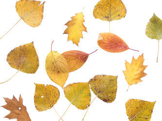 Similar image 973711