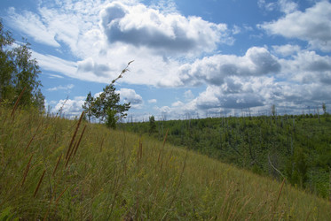 Similar image 973715