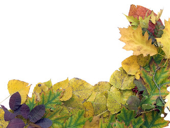 Similar image 973719