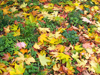 Similar image 973727