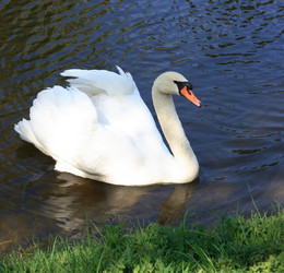 Similar image 973733