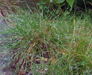 Similar image 973776