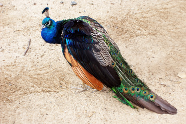 Similar image 973815