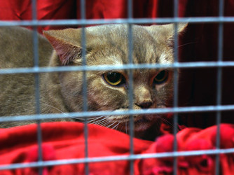 Similar image 973818