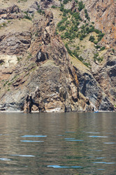 Similar image 973869