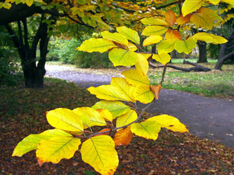 Similar image 973874