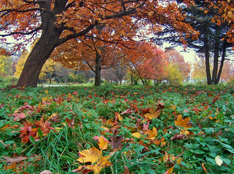 Similar image 973880