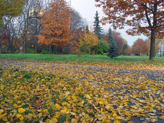 Similar image 973882