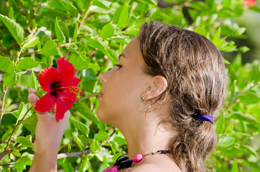 Similar image 973976