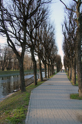 Similar image 974002