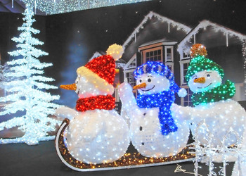 Similar image 974005