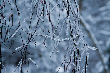 Similar image 974009