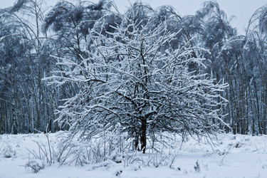 Similar image 974010