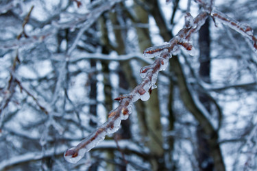 Similar image 974011