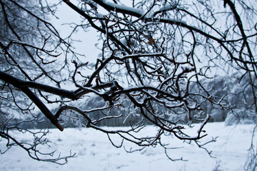 Similar image 974012