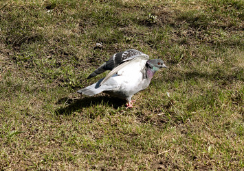 Similar image 974040