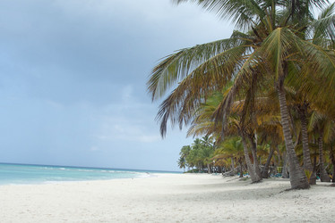 Similar image 974049