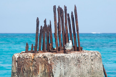 Similar image 974052