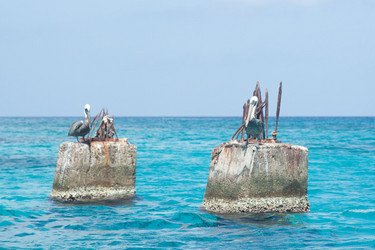 Similar image 974056