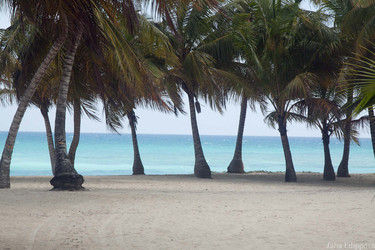 Similar image 974058