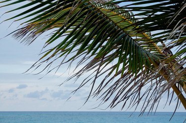 Similar image 974059