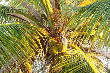 Similar image 974066