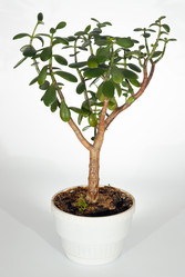 Similar image 974131