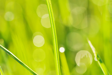 Similar image 974189