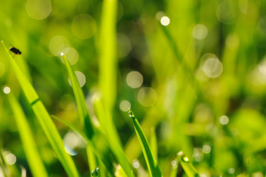 Similar image 974195