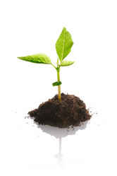 Similar image 974209