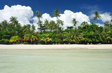 Similar image 974380