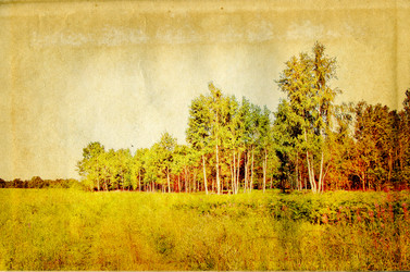 Similar image 974382