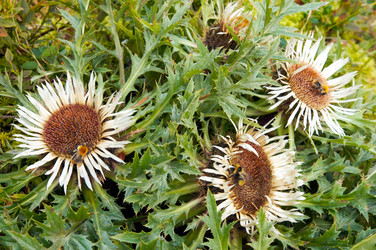 Similar image 974412