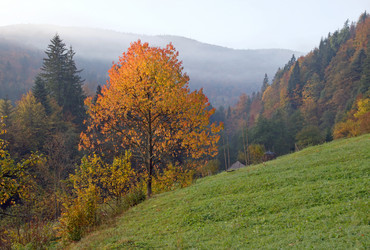 Similar image 974419