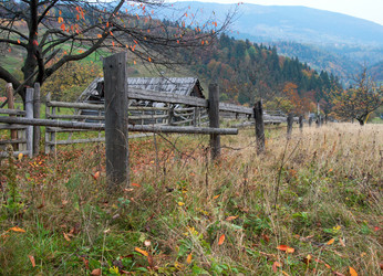 Similar image 974424