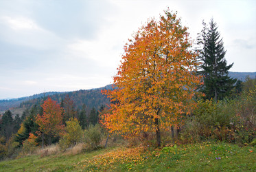 Similar image 974429