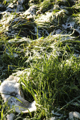 Similar image 974433