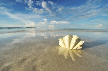 Similar image 974483