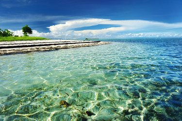 Similar image 974505